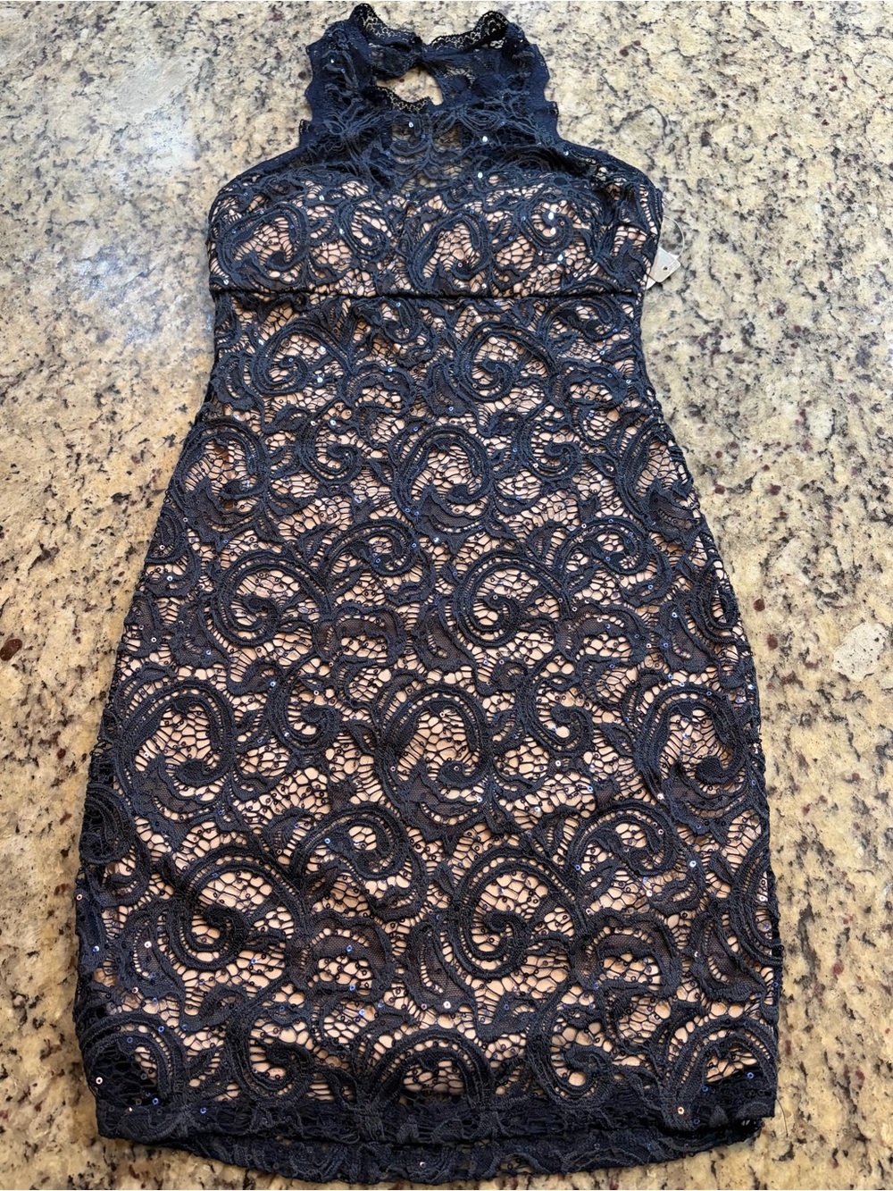 Sequin Hearts Navy Lace and Sequin Accents Halter Sheath Dress